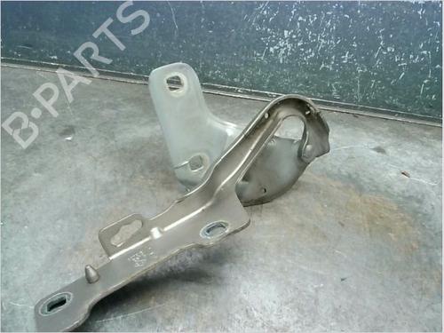Hinge/Door check strap RENAULT CLIO III (BR0/1, CR0/1) 1.5 dCi (C/BR0G, C/BR1G) | BP14873262C146 