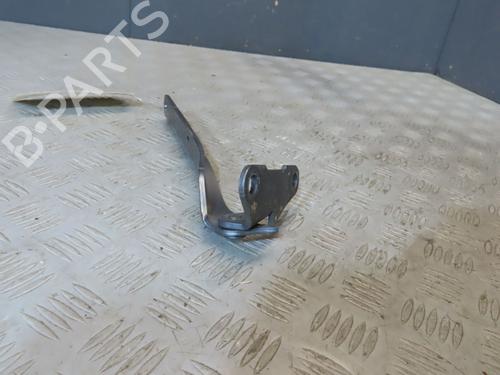 Hinge/Door check strap CITROËN C6 (TD_) 2.2 HDi | BP23114604C146 
