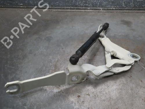 Used Hinge/Door check strap MINI MINI (R56) One (98 hp) 15886147