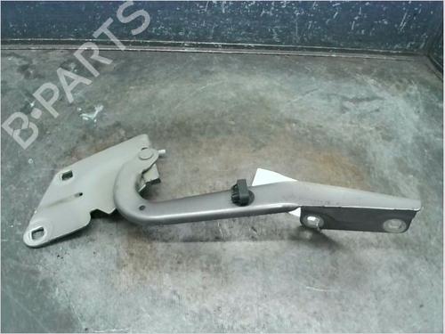 Used Hinge/Door check strap RENAULT MEGANE III Grandtour (KZ0/1) 1.5 dCi (KZ09, KZ0D, KZ1G, KZ29, KZ14, KZ1W, KZ10, KZ1F,... (110 hp) 14873247