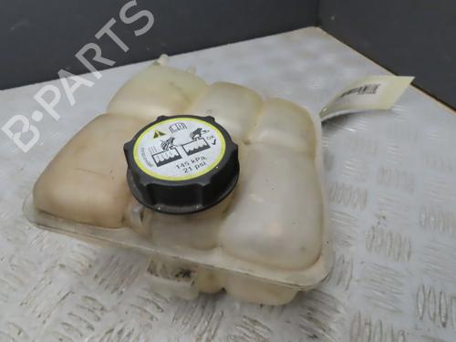 Ekpansionstank FORD C-MAX (DM2) [2007-2010]  19790949