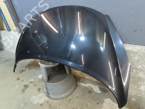 hood-peugeot-207-wa_-wc_-2006-2007-2008-2009-2010-2011-2012-2013-2014-2015-23114568 main image