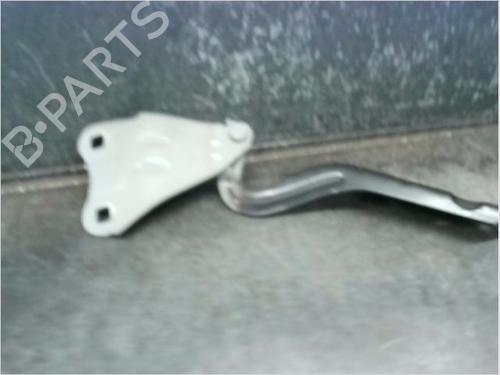 Dørhængsel/Dørbegrænser RENAULT TWINGO II (CN0_) 1.5 dCi (CN0U) (84 hp) 14979377