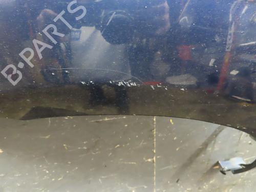Left front fenders TOYOTA COROLLA Verso (ZER_, ZZE12_, R1_) 2.0 D-4D (CUR10_, CUR10R) | BP16892905C41 