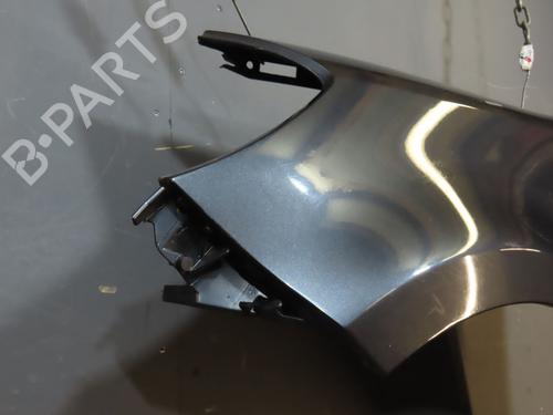 Left front fenders RENAULT CLIO III (BR0/1, CR0/1) 1.5 dCi (BR0H, CR0H, CR1S, BR1S) | BP20493997C41 