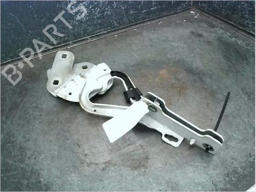 Hinge/Door check strap RENAULT CLIO III (BR0/1, CR0/1) 1.5 dCi (C/BR0G, C/BR1G) | BP14996214C146 