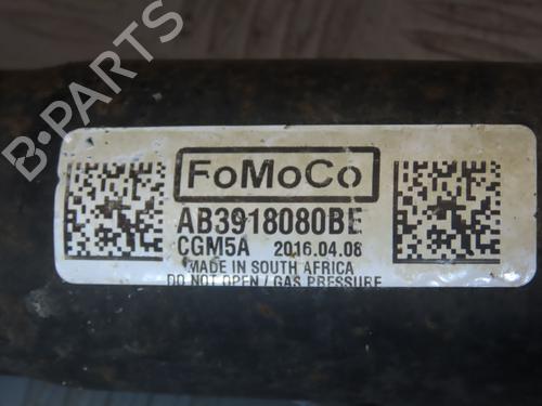 Right rear shock absorber FORD RANGER (TKE)  | BP21059749M19 