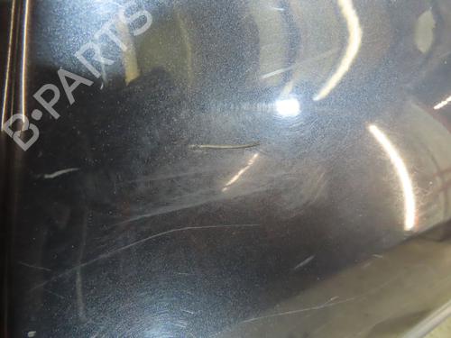 Left rear door RENAULT CLIO III (BR0/1, CR0/1) 1.5 dCi (BR17, CR17) | BP19391255C4 