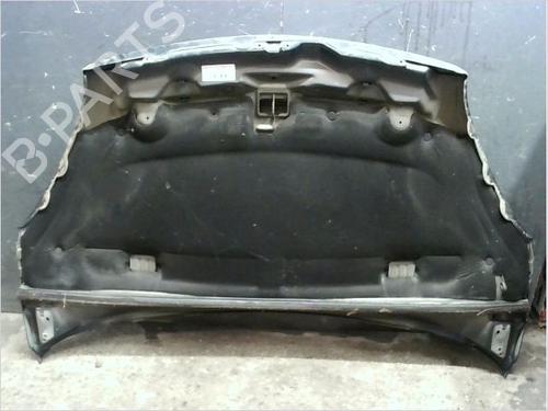 Hood CITROËN XSARA PICASSO (N68) 2.0 HDi | BP13310265C1 