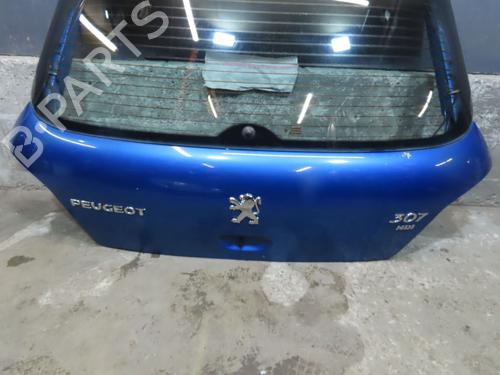 Tailgate PEUGEOT 307 (3A/C) 2.0 HDi 90 | BP24944836C6 