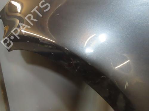 Left front fenders RENAULT CLIO III (BR0/1, CR0/1) 1.5 dCi (BR17, CR17) | BP18277129C41 
