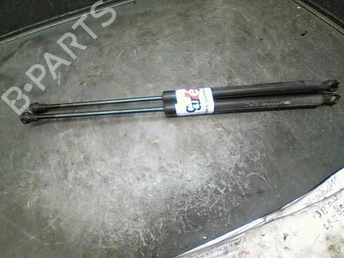 Gasdæmper bagklap CITROËN C3 II (SC_) 1.4 HDi 70 (SC8HZC, SC8HR0, SC8HP4) (68 hp) 14873549