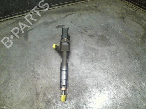 Used Injector RENAULT MEGANE II (BM0/1_, CM0/1_) 1.9 dCi (BM0G, CM0G) (120 hp) 10758436
