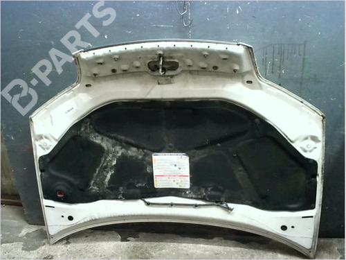 Hood FIAT PUNTO (188_) 1.3 JTD 16V | BP11425309C1 