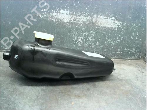 Windscreen washer tank DACIA SANDERO II TCe 90 (B8M1, B8MA, B8AC) | BP14980204C113