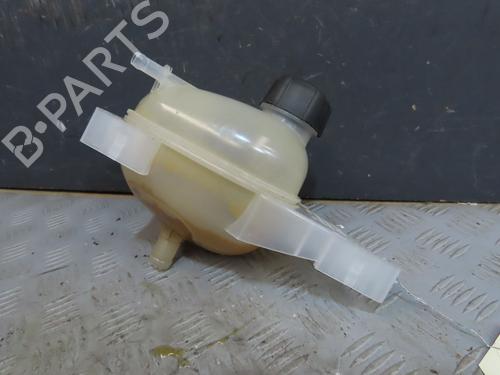 Ekpansionstank RENAULT TWINGO III (BCM_, BCA_) 1.0 SCe 75 (73 hp) 30767360