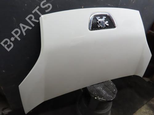 Hood PEUGEOT BIPPER (AA_) 1.3 HDi 75 | BP16956007C1