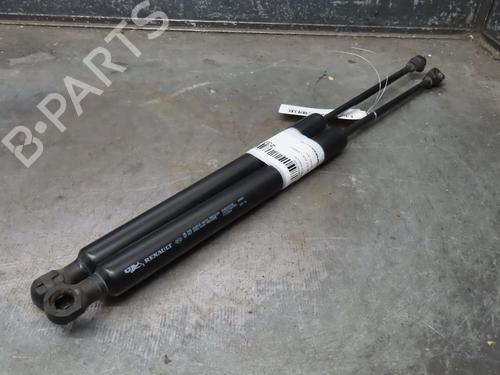 Tailgate lift support RENAULT ZOE (BFM_) ZOE | BP16537897C138