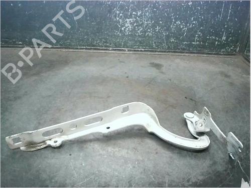 Hinge/Door check strap PEUGEOT 208 I (CA_, CC_) 1.6 HDi | BP26898540C146