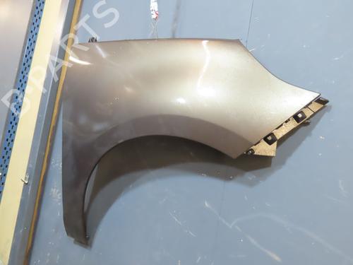 Left front fenders RENAULT SCÉNIC III (JZ0/1_) 1.9 dCi (JZ0J, JZ1J, JZ1K, JZ1S) | BP21088099C41 