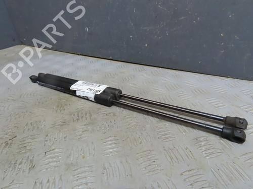 tailgate-lift-support-renault-zoe-bfm_-2012-32129574 main image