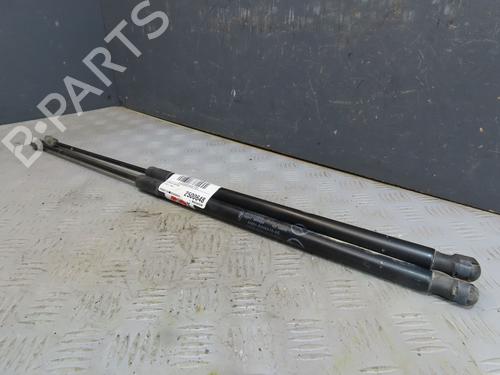 Used Tailgate lift support FORD C-MAX II (DXA/CB7, DXA/CEU) 2.0 TDCi (140 hp) 30630792