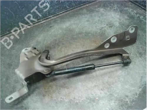 hingedoor-check-strap-renault-grand-scenic-iii-jz01_-2009-2010-2011-2012-2013-2014-2015-2016-23114599 main image