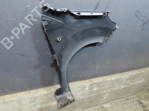 Guarda-lamas esquerdo RENAULT TWINGO II (CN0_) 1.5 dCi (CN0E) (64 hp) 30447467