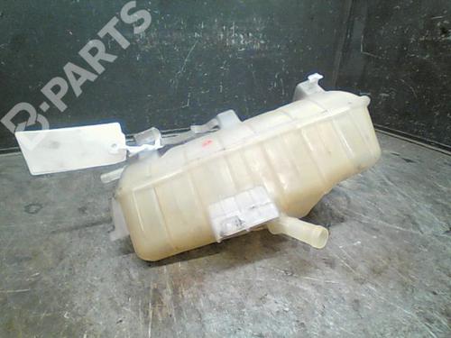 Used Expansion tank RENAULT KANGOO Express (FW0/1_) 1.5 dCi 70 (FW0A, KW0V) (68 hp) 10759280