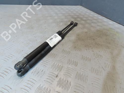 Used Tailgate lift support RENAULT MEGANE III Hatchback (BZ0/1_, B3_) [2008-2026]  23116028