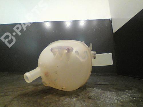 Expansion tank FIAT CROMA (194_) 1.9 D Multijet (194AXC1B, 194AXC12) | BP11210113C120 