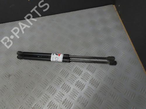 Tailgate lift support RENAULT MEGANE II (BM0/1_, CM0/1_)  | BP20710723C138 