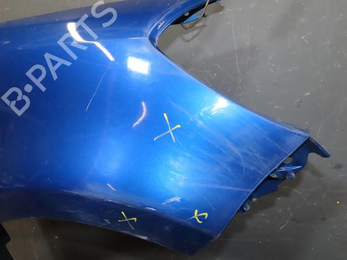 Right front fenders RENAULT CLIO III (BR0/1, CR0/1) 1.5 dCi (C/BR0G, C/BR1G) | BP24991972C42 