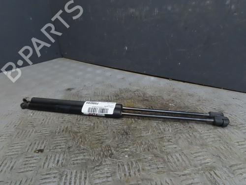 Used Tailgate lift support SKODA FABIA II (542) 1.6 TDI (75 hp) 30117061