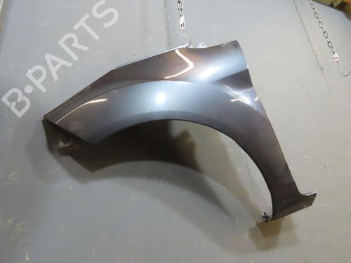 Left front fenders FORD FIESTA VI (CB1, CCN) 1.4 TDCi | BP21059798C41 