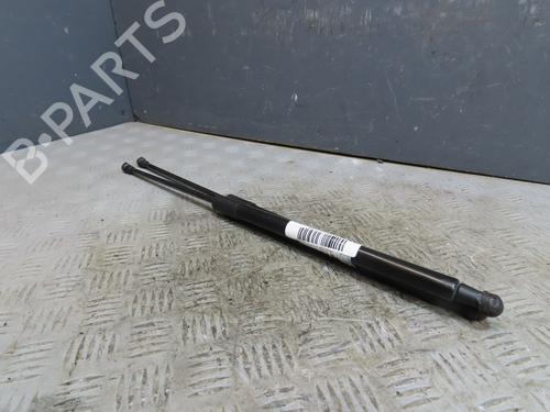 Tailgate lift support RENAULT MEGANE IV Grandtour (K9A/M/N_) 1.5 Blue dCi 115 (K9A6) | BP29759775C138 