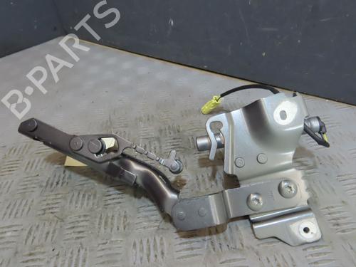 hingedoor-check-strap-ds-ds-4-ii-fr_-fb_-f3_-fp_-2021-29318686 main image