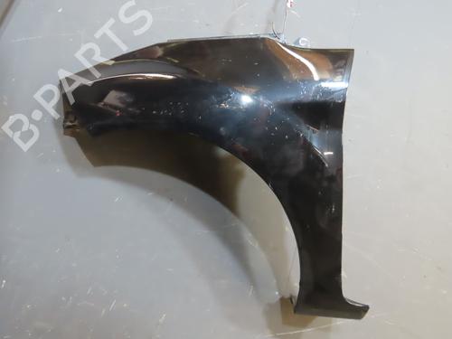 Left front fenders FORD FIESTA VI (CB1, CCN) 1.6 TDCi | BP23395822C41