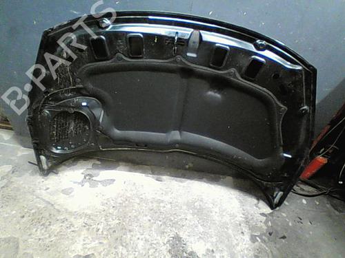 Used Hood PEUGEOT 206+ (2L_, 2M_) 1.4 HDi eco 70 (68 hp) 10764023