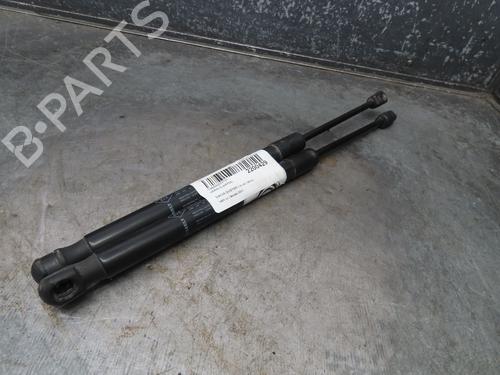 Tailgate lift support DACIA DUSTER (HS_) 1.5 dCi (HSAJ) | BP18034619C138 