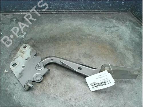 Hinge/Door check strap RENAULT MEGANE III Grandtour (KZ0/1) 1.5 dCi (KZ09, KZ0D, KZ1G, KZ29, KZ14, KZ1W, KZ10, KZ1F,... | BP14873247C146 