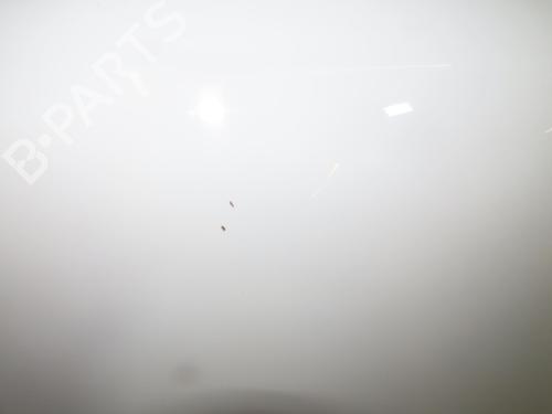 Hood DACIA LODGY (JS_) 1.6 SCe 100 (JSAV) | BP29515636C1 