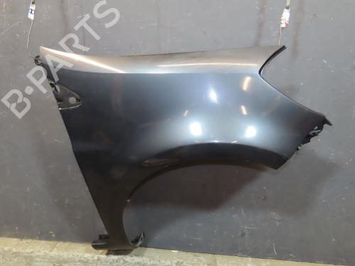Right front fenders RENAULT CLIO III (BR0/1, CR0/1) 1.5 dCi (BR0H, CR0H, CR1S, BR1S) | BP24832256C42 