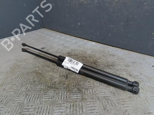 tailgate-lift-support-dacia-logan-mcv-ii-2013-30047716 main image