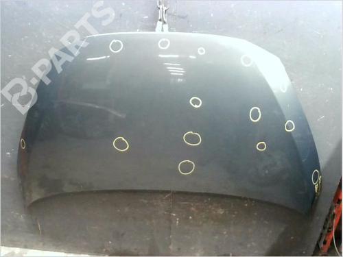 Capot RENAULT AVANTIME (DE0_) 2.2 dCi (DE01) (150 hp) 11832777