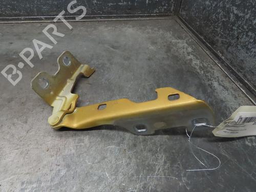 Used Hinge/Door check strap RENAULT CLIO II (BB_, CB_) 1.5 dCi (B/CB07) (65 hp) 17134270