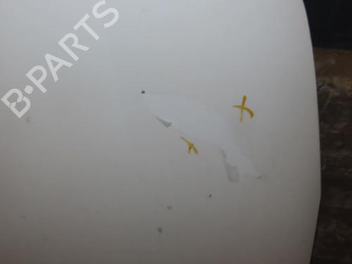 Hood CITROËN C4 I (LC_) 1.6 HDi | BP24944810C1 
