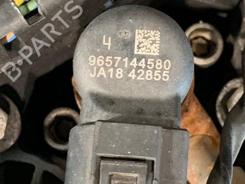 Engine FORD S-MAX (WA6) | BP29124617M1