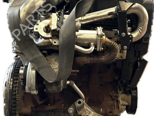 Engine RENAULT MEGANE III Hatchback (BZ0/1_, B3_) 1.5 dCi (BZ09, BZ0D, BZ1W, BZ29, BZ14) | BP31686168M1 - Image 6