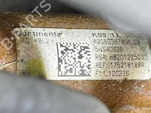 Engine RENAULT SCÉNIC III (JZ0/1_)  | BP29242102M1 